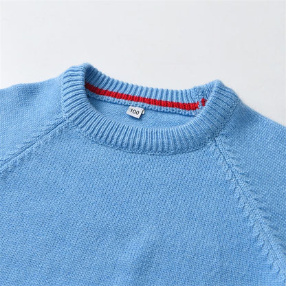 Pull-Sweat Garçon | The Cute Babys